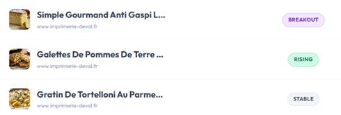 Aperçu Discoops Opportunités Discover